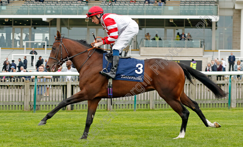 Change-For-Good-0001 
 CHANGE FOR GOOD (Callum Shepherd)
Newmarket 28 Sep 2023 - Pic Steven Cargill / Racingfotos.com