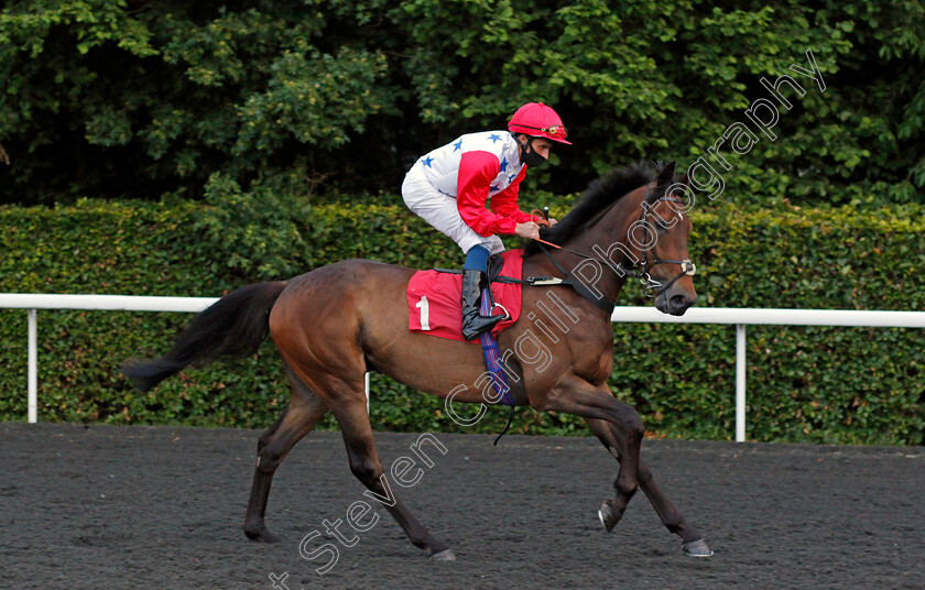 Galata-Bridge-0001 
 GALATA BRIDGE (William Buick)
Kempton 2 Jun 2021 - Pic Steven Cargill / Racingfotos.com