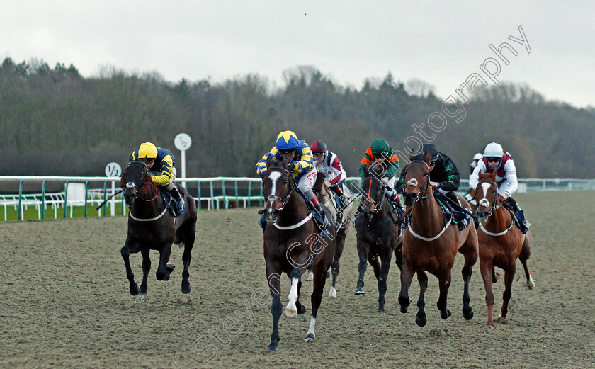 Abel-Tasman-0002 
 ABEL TASMAN (centre, Franny Norton) beats ITS NICE TOBE NICE (right) in The #Betyourway At Betway Handicap Div2
Lingfield 19 Dec 2020 - Pic Steven Cargill / Racingfotos.com