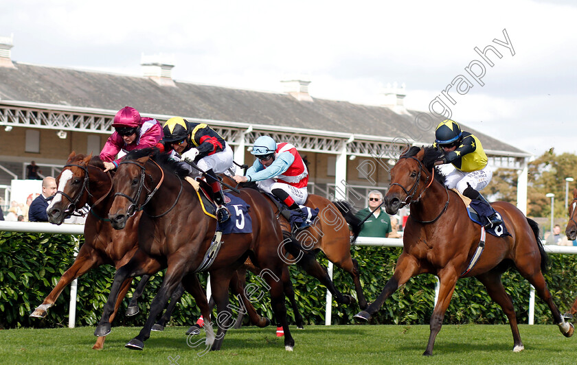 Global-Applause-0004 
 GLOBAL APPLAUSE (Gerald Mosse) beats EL ASTRONAUTE (left) and ENCORE D'OR (right) in The D C Training And Development Services Scarbrough Stakes
Doncaster 12 Sep 2018 - Pic Steven Cargill / Racingfotos.com