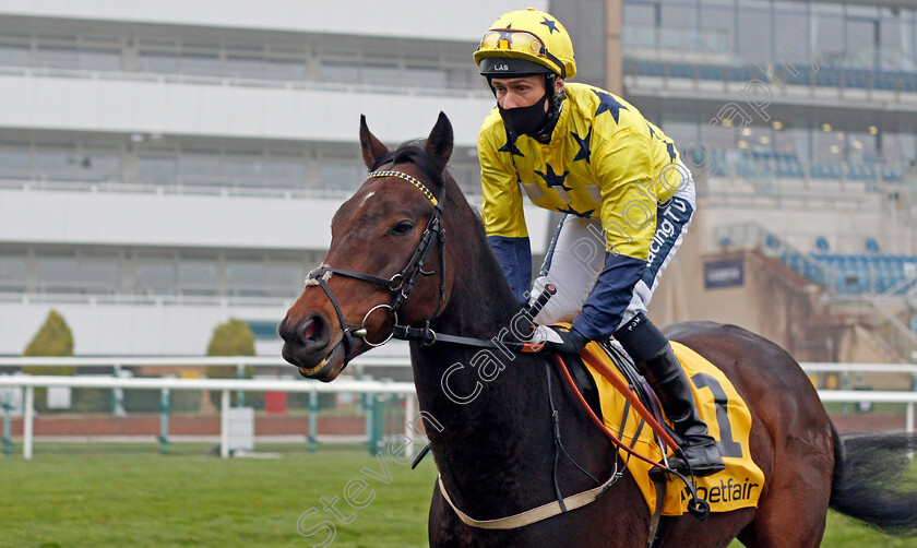 Euchen-Glen-0001 
 EUCHEN GLEN (Paul Mulrennan)
Doncaster 7 Nov 2020 - Pic Steven Cargill / Racingfotos.com