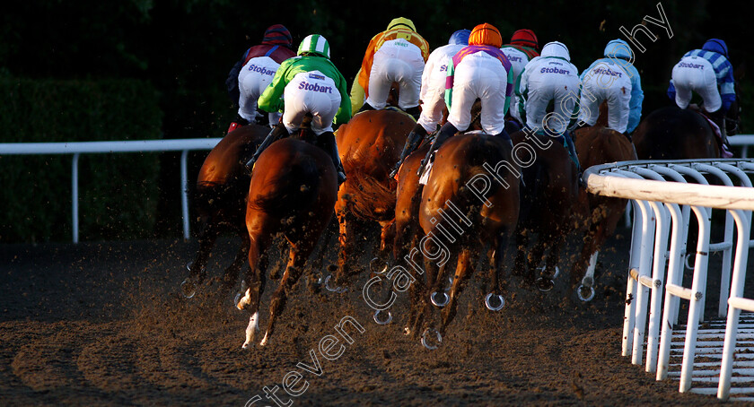 Kempton-0002 
 Action at Kempton
22 May 2019 - Pic Steven Cargill / Racingfotos.com