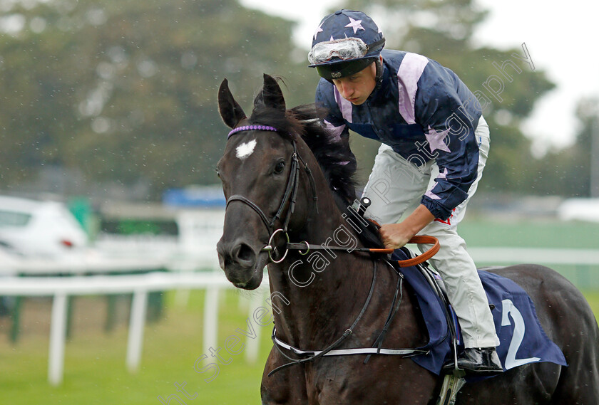 Penywern-Taverner-0001 
 PENYWERN TAVERNER (Tom Marquand)
Yarmouth 14 Sep 2021 - Pic Steven Cargill / Racingfotos.com