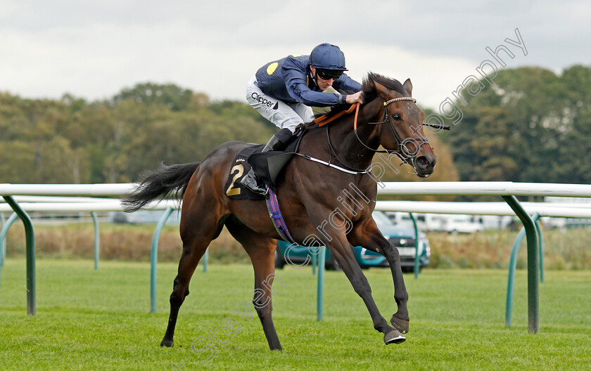 Cet-Horizon-0004 
 CET HORIZON (Daniel Tudhope) wins The British EBF Maiden Fillies Stakes
Nottingham 13 Oct 2021 - Pic Steven Cargill / Racingfotos.com