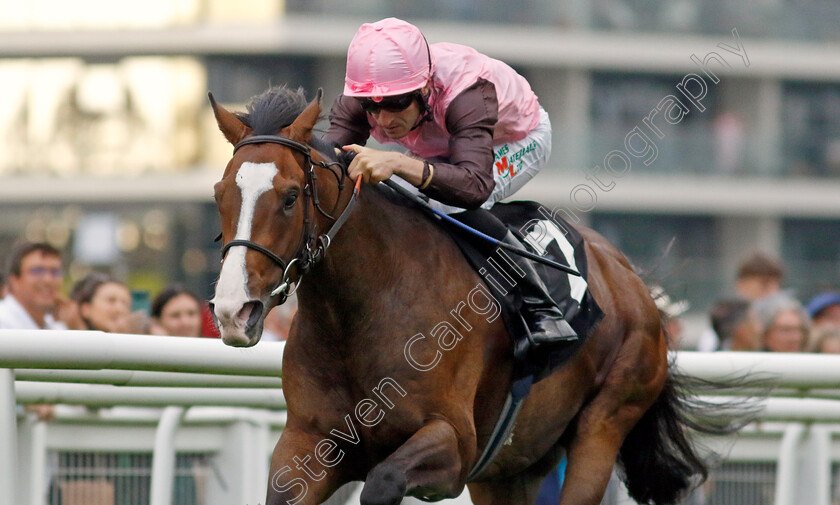 Cinnodin-0002 
 CINNODIN (Finley Marsh) wins The Bob Barker Memorial Handicap
Newbury 27 Jul 2023 - Pic Steven Cargill / Racingfotos.com