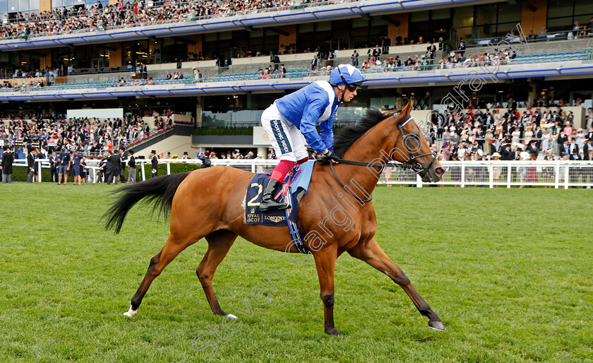 Lord-North-0002 
 LORD NORTH (Frankie Dettori)
Royal Ascot 15 Jun 2022 - Pic Steven Cargill / Racingfotos.com