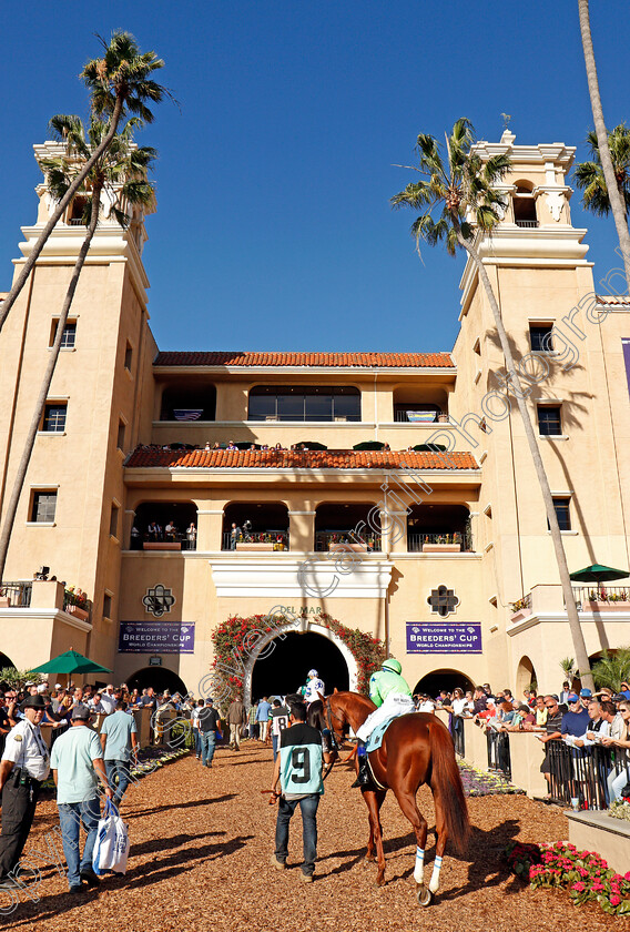 Del-Mar-0009 
 Leaving the paddock at Del Mar USA 2 Nov 2017 - Pic Steven Cargill / Racingfotos.com