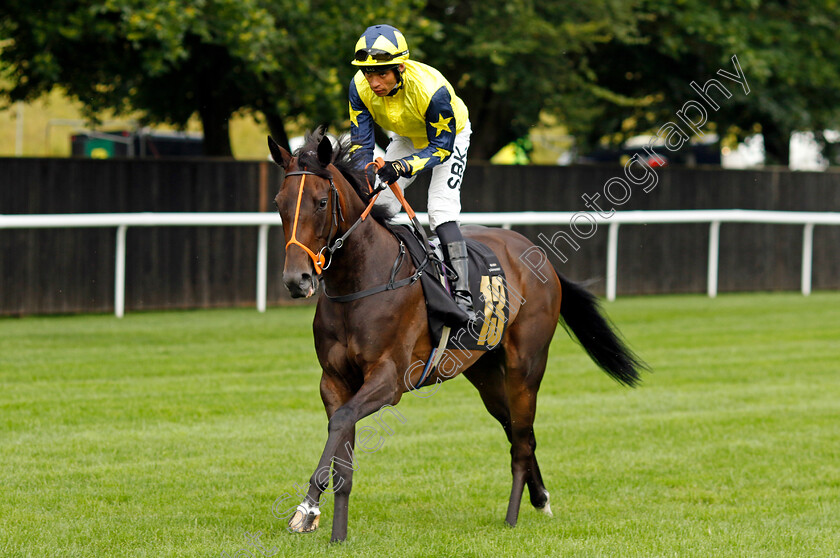 Crocus-Time-0001 
 CROCUS TIME (Sean Levey)
Newmarket 28 Jul 2023 - Pic Steven Cargill / Racingfotos.com