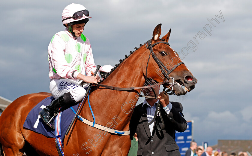 Thomas-Hobson-0002 
 THOMAS HOBSON (Ryan Moore) Doncaster 15 Sep 2017 - Pic Steven Cargill / Racingfotos.com