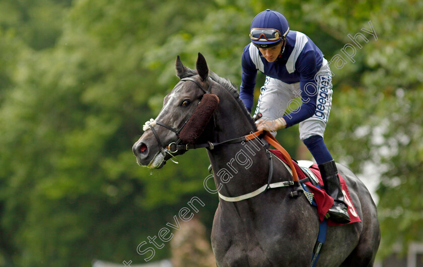 Wings-Of-War 
 WINGS OF WAR (David Probert)
Haydock 21 May 2022 - Pic Steven Cargill / Racingfotos.com