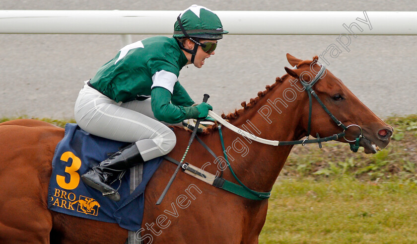 Martini-0002 
 MARTINI (Anna Pilroth) wins The Cafe Brasco Guldhandicap
Bro Park, Sweden 22 Sep 2019 - Pic Steven Cargill / Racingfotos.com