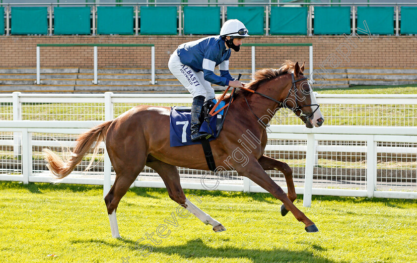 Ridgeway-Avenue-0001 
 RIDGEWAY AVENUE (Ryan Moore)
Yarmouth 25 Aug 2020 - Pic Steven Cargill / Racingfotos.com