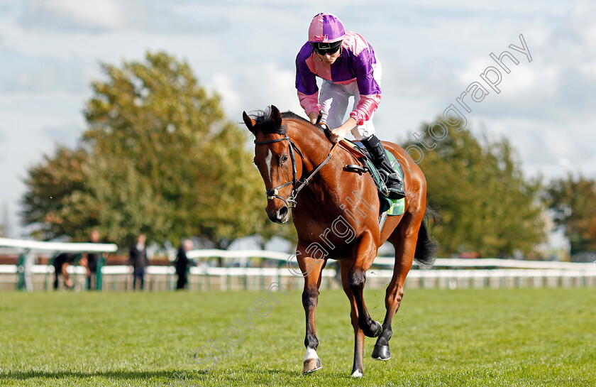 Petrus-0001 
 PETRUS (Jamie Spencer) Newmarket 30 Sep 2017 - Pic Steven Cargill / Racingfotos.com