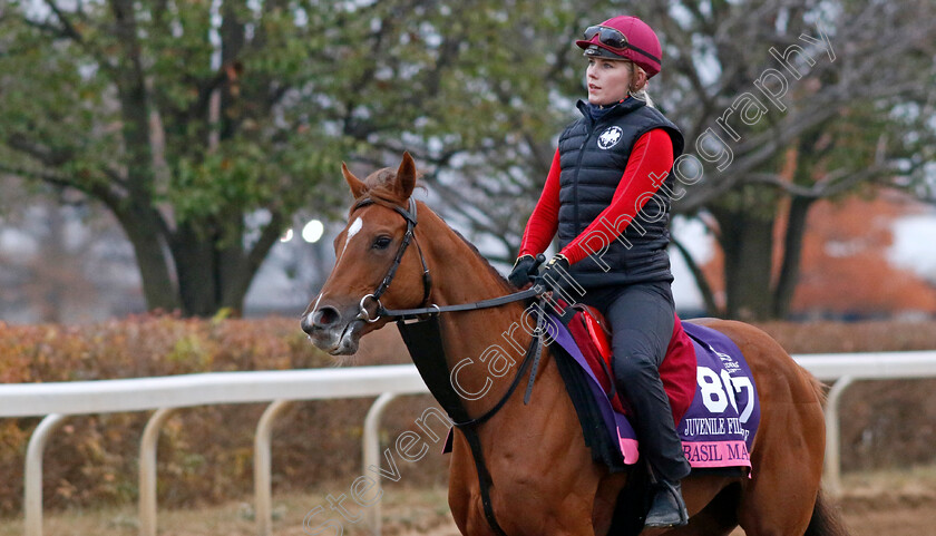 Basil-Martini-0001 
 BASIL MARTINI training for the Breeders' Cup Juvenile Fillies Turf
Keeneland USA 1 Nov 2022 - Pic Steven Cargill / Racingfotos.com