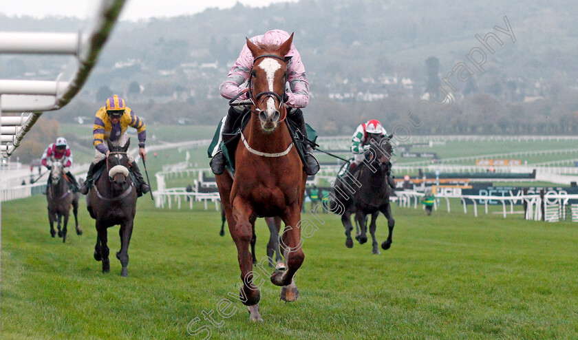 Urban-Artist-0001 
 URBAN ARTIST (Nico de Boinville) wins The Karndean Designflooring Mares' Standard Open National Hunt Flat Race
Cheltenham 16 Nov 2019 - Pic Steven Cargill / Racingfotos.com