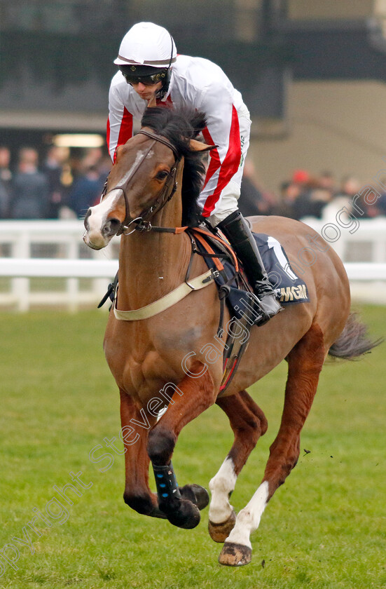 Goshen-0001 
 GOSHEN (Niall Houlihan)
Ascot 18 Jan 2025 - Pic Steven Cargill / Racingfotos.com