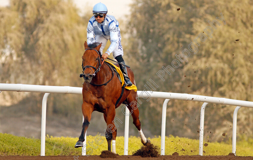 High-On-Life-0003 
 HIGH ON LIFE (Xavier Ziani) wins The Derrinstown Stud Conditions Race Jebel Ali 26 Jan 2018 - Pic Steven Cargill / Racingfotos.com