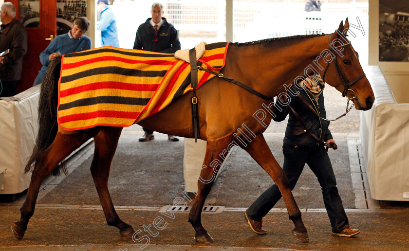 Lot-0144-Toby-Maguire-£14500-0001 
 Lot 144 TOBY MAGUIRE selling for £14500 at Tattersalls Ireland Ascot November Sale 9 Nov 2017 - Pic Steven Cargill / Racingfotos.com