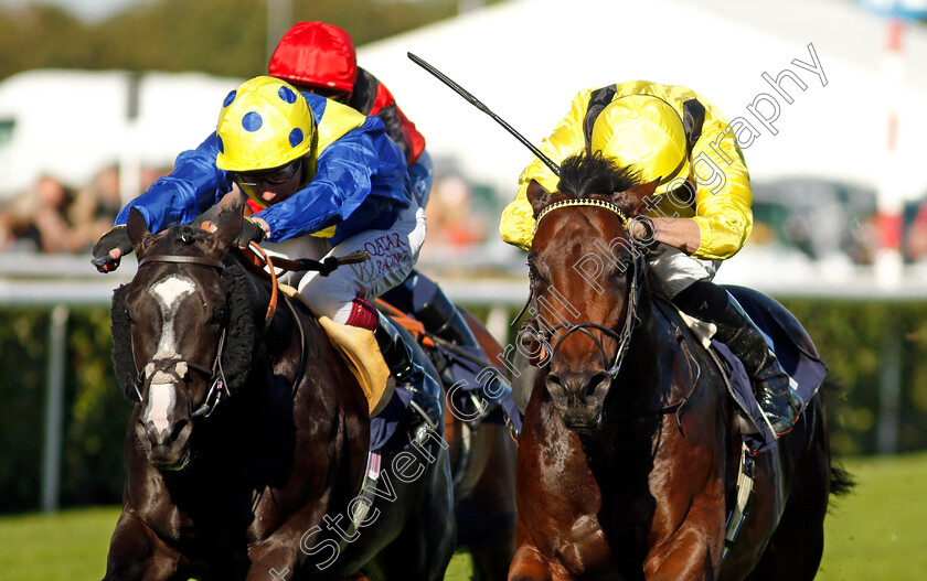 Yaroogh-0004 
 YAROOGH (right, Tom Marquand) beats SPELL MASTER (left) in The Hilton Garden Inn Nursery
Doncaster 12 Sep 2024 - Pic Steven Cargill / Racingfotos.com