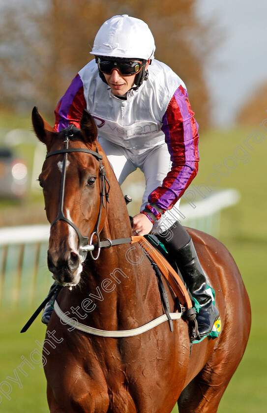 Laurens-0010 
 LAURENS (P J McDonald) after The bet365 Fillies Mile Newmarket 13 Oct 2017 - Pic Steven Cargill / Racingfotos.com