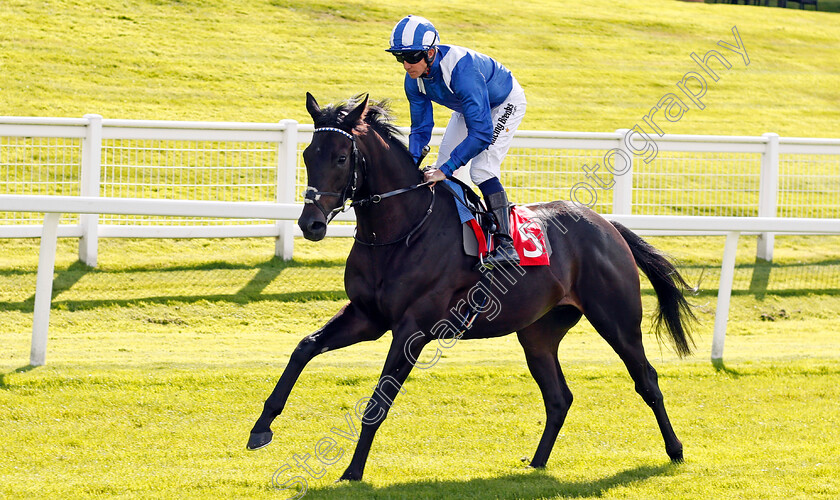 Emaraaty-0001 
 EMARAATY (Jim Crowley) Sandown 1 Sep 2017 - Pic Steven Cargill / Racingfotos.com