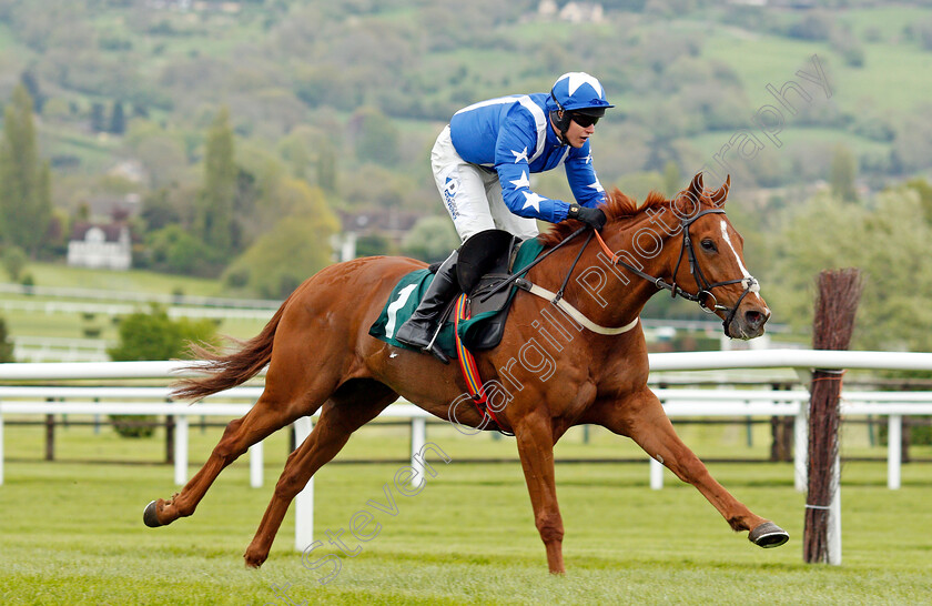 Monsieur-Gibraltar-0005 
 MONSIEUR GIBRALTAR (Lorcan Williams) wins The Brian Babbage Memorial Open Hunters Chase Cheltenham 4 May 2018 - Pic Steven Cargill / Racingfotos.com