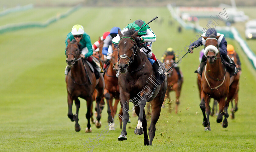 Filistine-0007 
 FILISTINE (Frankie Dettori) wins The 888sport British EBF Novice Stakes Div2
Newmarket 29 Oct 2021 - Pic Steven Cargill / Racingfotos.com