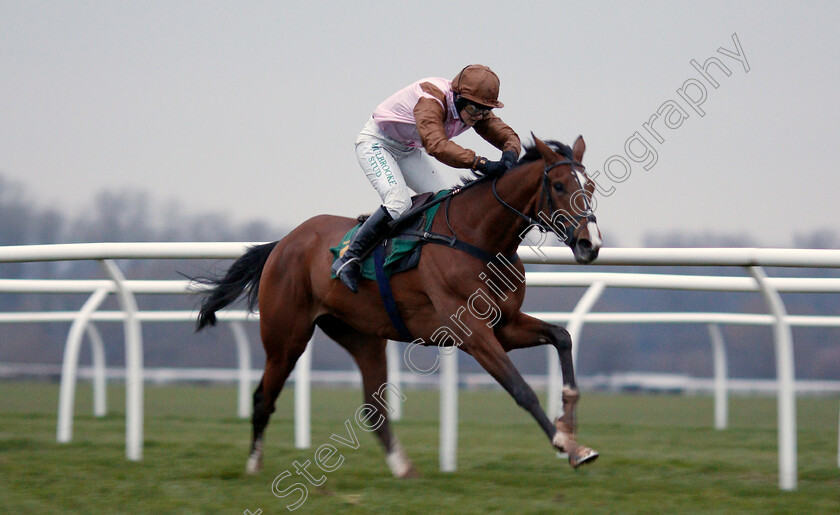 Faivoir-0004 
 FAIVOIR (Bridget Andrews) wins The tote's Back Tomorrow With Another Placepot Standard Open National Hunt Flat Race
Bangor-On-Dee 7 Feb 2020 - Pic Steven Cargill / Racingfotos.com