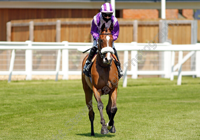 Secret-Shadow-0001 
 SECRET SHADOW (Hayley Turner)
Newbury 16 Jul 2021 - Pic Steven Cargill / Racingfotos.com