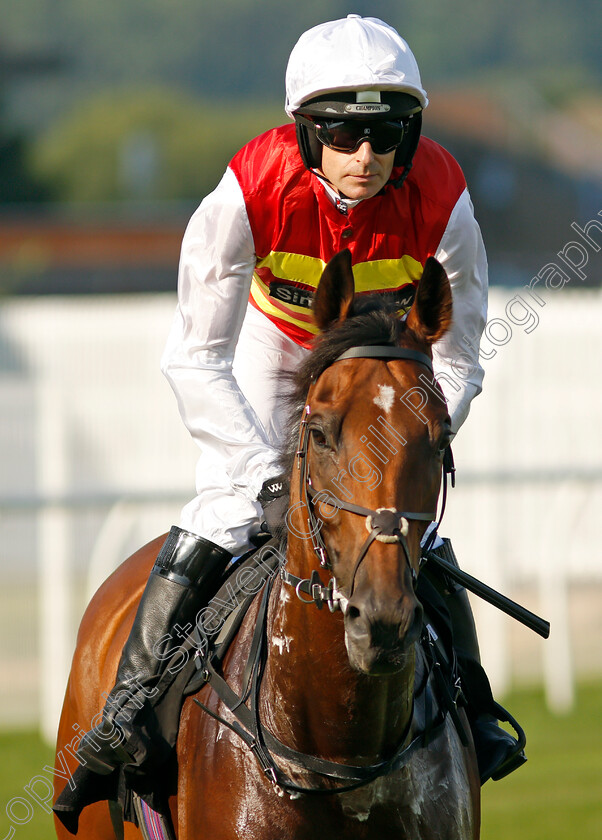 The-Game-Is-On-0001 
 THE GAME IS ON (Guy Mitchell)
Newbury 22 Jul 2021 - Pic Steven Cargill / Racingfotos.com