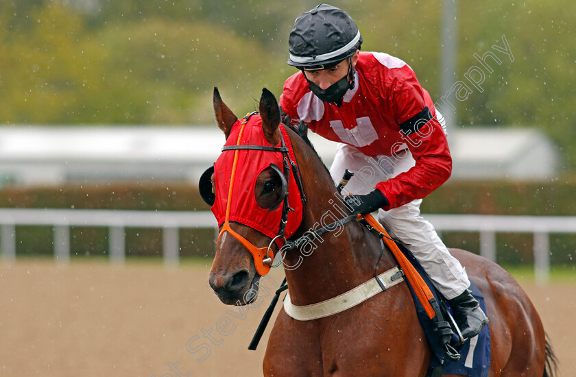 Jeddeyd-0001 
 JEDDEYD (David Egan)
Wolverhampton 24 May 2021 - Pic Steven Cargill / Racingfotos.com