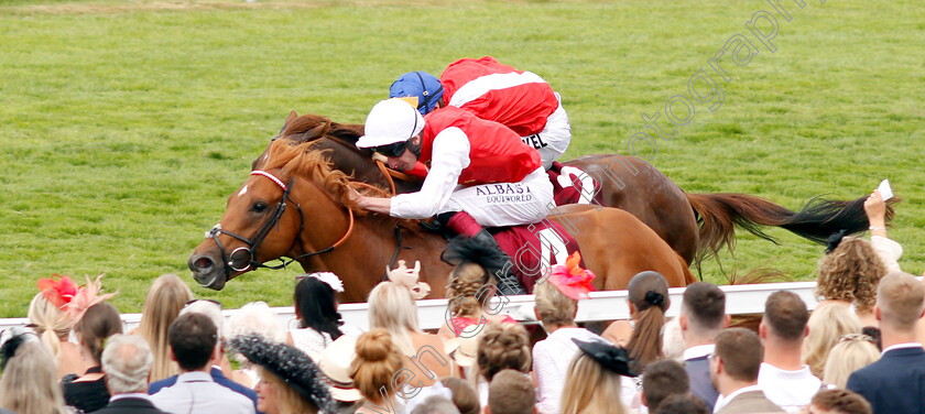 Golden-Horde-0001 
 GOLDEN HORDE (Adam Kirby) wins The Qatar Richmond Stakes
Goodwood 1 Aug 2019 - Pic Steven Cargill / Racingfotos.com