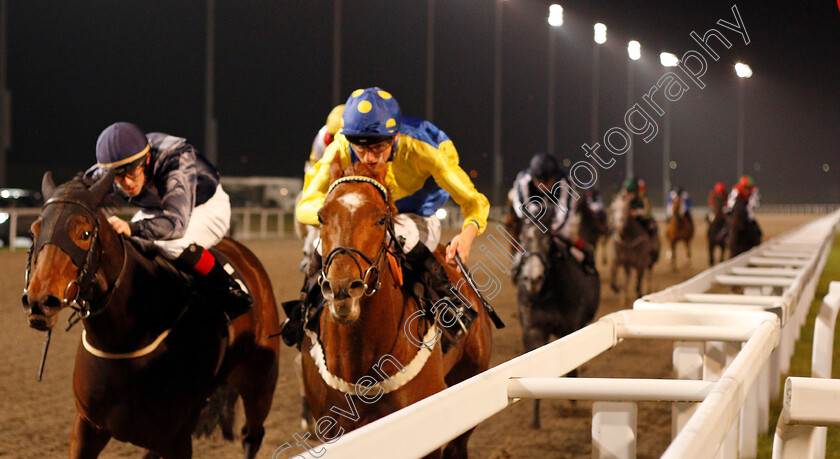 Zefferino-0001 
 ZEFFERINO (right, George Wood) beats J'OUVERT (left) in the Double Delight Hat Trick Heaven At totesport.com Handicap
Chelmsford 24 Oct 2019 - Pic Steven Cargill / Racingfotos.com