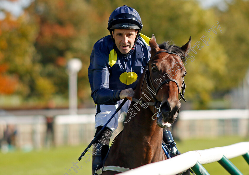 Kullazain-0001 
 KULLAZAIN (Neil Callan)
Newmarket 11 Oct 2024 - Pic Steven Cargill / Racingfotos.com