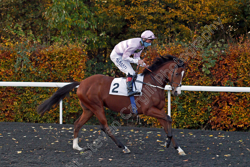 Aratus-0001 
 ARATUS (Adam Kirby) winner of The British EBF Future Stayers Maiden Stakes
Kempton 2 Nov 2020 - Pic Steven Cargill / Racingfotos.com