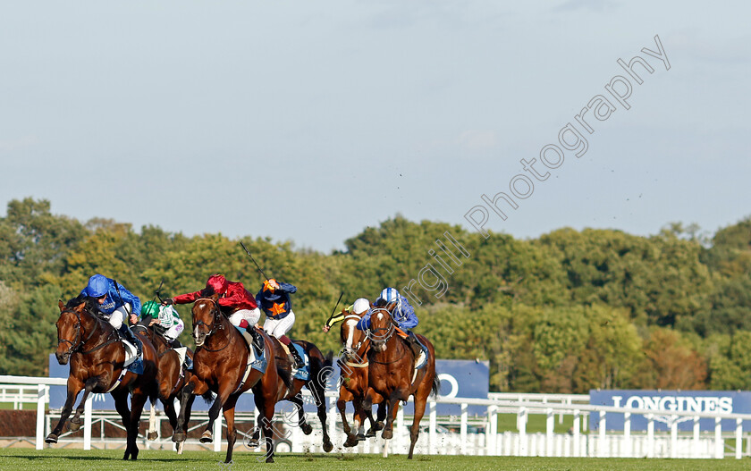 Middle-Earth-0007 
 MIDDLE EARTH (2nd left, Oisin Murphy) beats CHESSPIECE (left) in The Troy Asset Management Noel Murless Stakes
Ascot 6 Oct 2023 - Pic Steven Cargill / Racingfotos.com