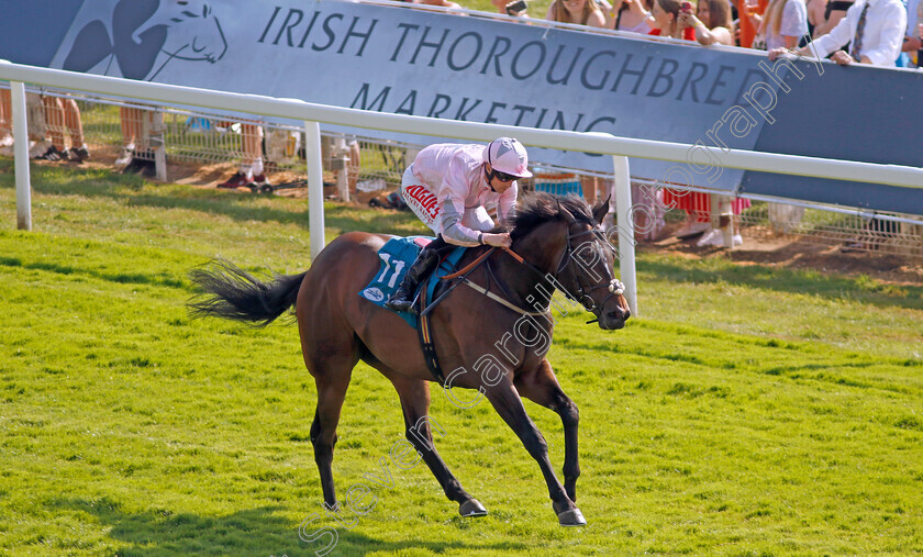 Another-Investment-0002 
 ANOTHER INVESTMENT (Jack Mitchell) wins The Irish Thoroughbred Marketing Handicap
York 16 Jun 2023 - Pic Steven Cargill / Racingfotos.com