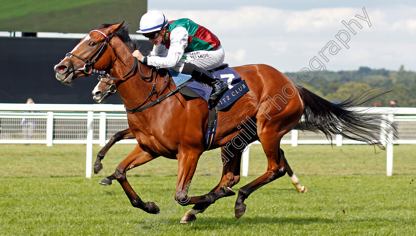 She s-Got-You-0003 
 SHE'S GOT YOU (Kieran O'Neill) wins The Ritz Club British EBF Premier Fillies Handicap
Ascot 7 Sep 2019 - Pic Steven Cargill / Racingfotos.com