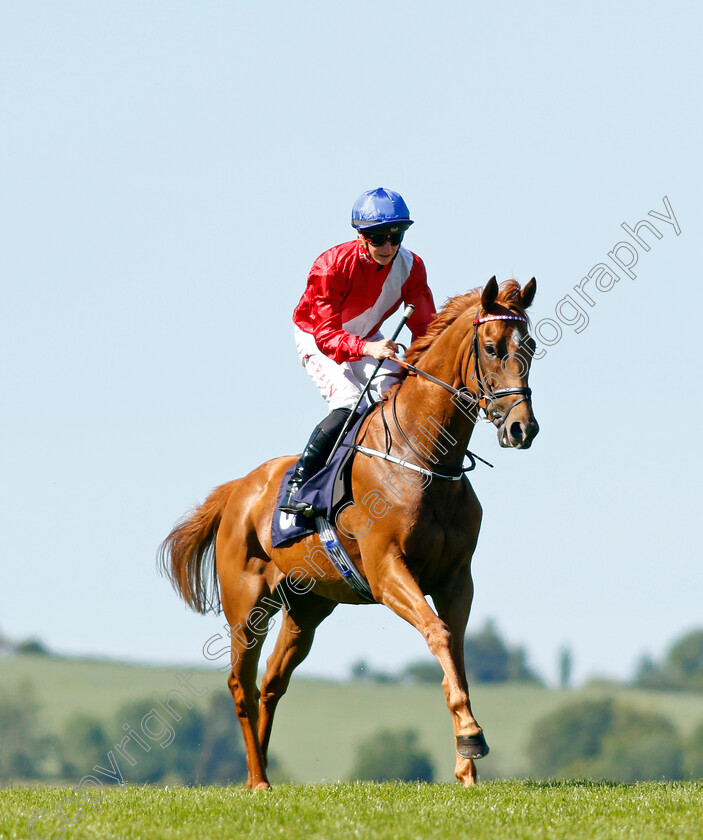 King-Of-Ice-0001 
 KING OF ICE (Tom Marquand)
Chepstow 27 May 2022 - Pic Steven Cargill / Racingfotos.com