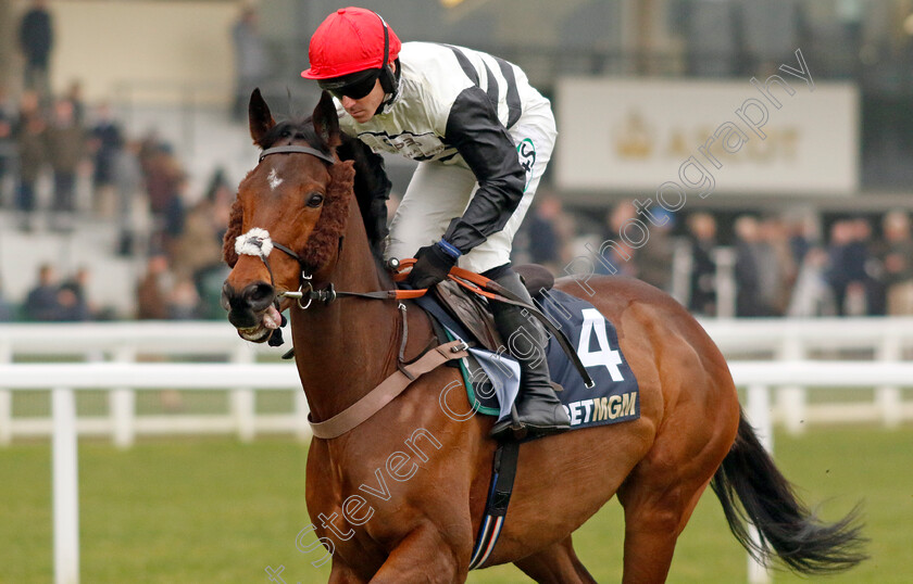 Altobelli-0006 
 ALTOBELLI (Bryan Carver) winner of The Betmgm Holloway's Handicap Hurdle
Ascot 18 Jan 2025 - Pic Steven Cargill / Racingfotos.com