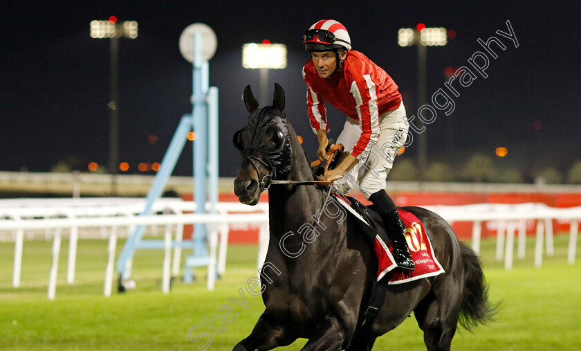 Calif-0002 
 CALIF (Adrie de Vries)
Kingdom of Bahrain 15 Nov 2024 - Pic Steven Cargill / Racingfotos.com