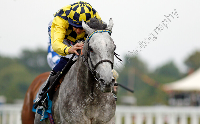 Alfred-Boucher-0007 
 ALFRED BOUCHER (David Probert) wins The John Guest Racing Handicap
Ascot 23 Jul 2021 - Pic Steven Cargill / Racingfotos.com