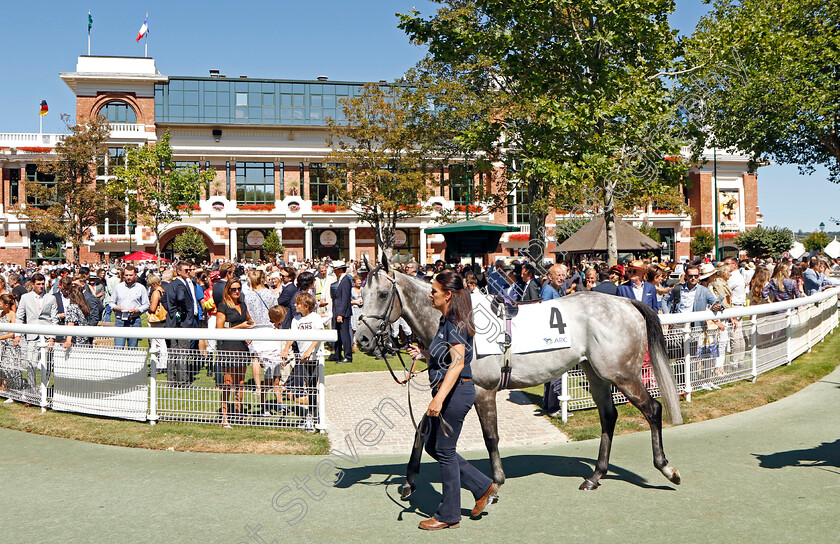 Garrus-0001 
 GARRUS
Deauville 7 Aug 2022 - Pic Steven Cargill / Racingfotos.com