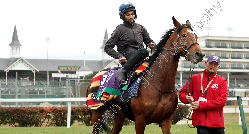 Enable-0015 
 ENABLE after exercising ahead of the Breeders' Cup Turf
Churchill Downs 30 Oct 2018 - Pic Steven Cargill / Racingfotos.com