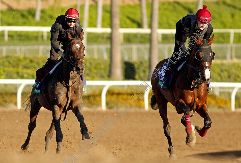 Broome-and-Bolshoi-Ballet-0001 
 BROOME leads BOLSHOI BALLET training for the Breeders' Cup Turf
Santa Anita USA, 1 Nov 2023 - Pic Steven Cargill / Racingfotos.com