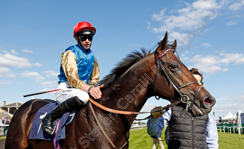 Aesterius-0007 
 AESTERIUS (James Doyle) winner of The Carlsberg Danish Pilsner Flying Childers Stakes
Doncaster 13 Sep 2024 - Pic Steven Cargill / Racingfotos.com