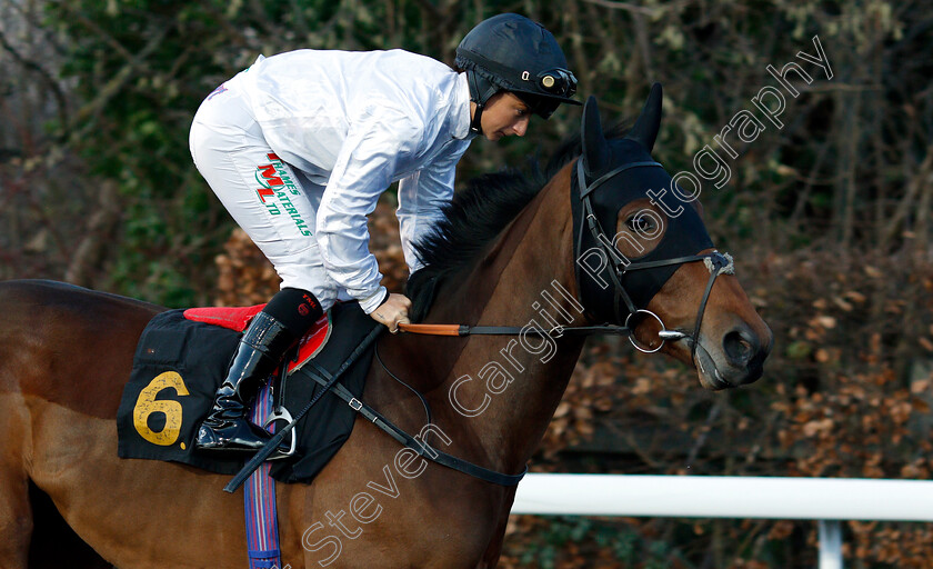 Ricochet-0002 
 RICOCHET (Nicola Currie)
Kempton 12 Dec 2018 - Pic Steven Cargill / Racingfotos.com