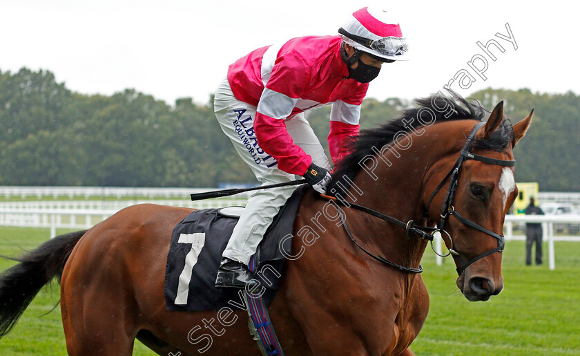 Piranesi-0001 
 PIRANESI (Tom Marquand) before winning The Berskhire Youth Classified Stakes
Nottingham 30 Sep 2020 - Pic Steven Cargill / Racingfotos.com