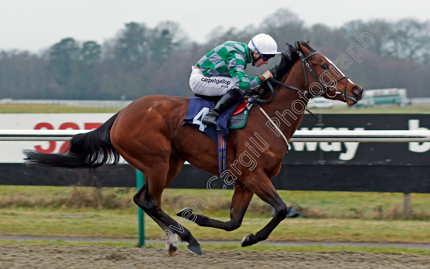 Karijini-0004 
 KARIJINI (Edward Greatrex) wins The 32Red.com Novice Stakes Lingfield 12 Jan 2018 - Pic Steven Cargill / Racingfotos.com