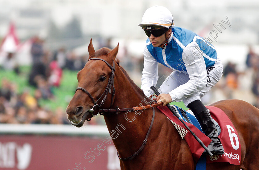 Shaman-0001 
 SHAMAN (Maxime Guyon)
Longchamp 7 Oct 2018 - Pic Steven Cargill / Racingfotos.com